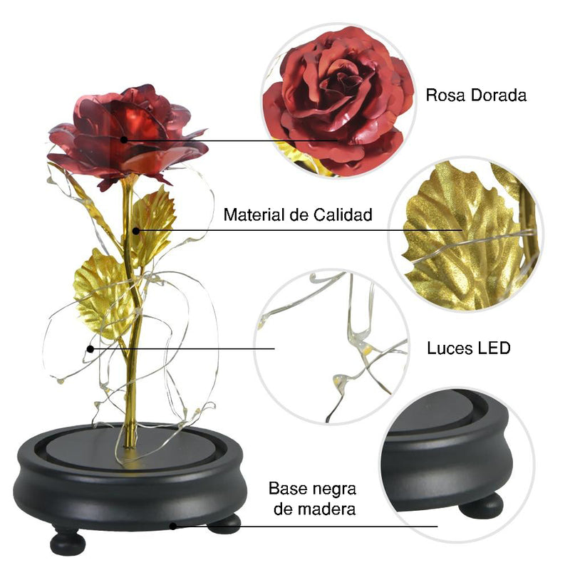 PARTES DE LA ROSA BELLA Y BESTIA - IPANTUFLAS.COM